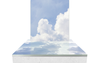 Cinéraire Nuages
