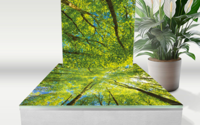 Forêt