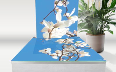 Magnolia