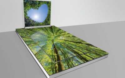 Monument Forêt