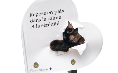 Plaque funéraire chat joueur coeur