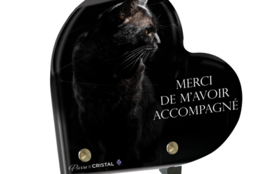 Plaque funéraire chat noir coeur