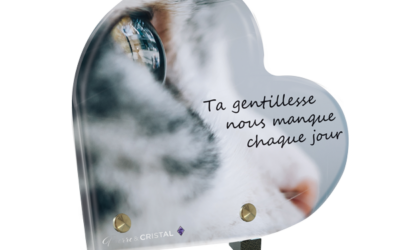 Plaque funéraire chat noir et blanc coeur