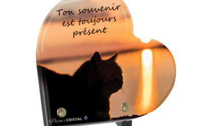 Plaque funéraire chat soleil couchant coeur