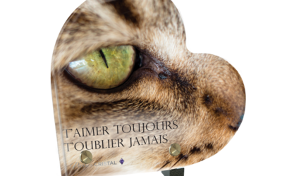 Plaque funéraire chat tigré coeur