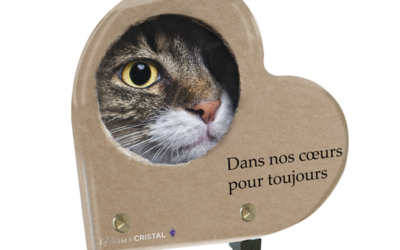 Plaque funéraire chat tigré carton coeur