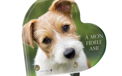 Plaque funéraire fox terrier coeur
