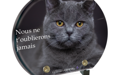 Plaque funéraire chat chartreux demi-lune