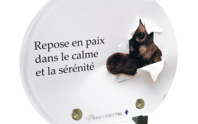 Plaque funéraire chat joueur demi-lune