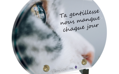 Plaque funéraire chat noir et blanc demi-lune