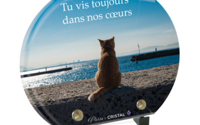 Plaque funéraire chat port demi-lune