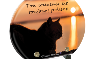 Plaque funéraire chat soleil couchant demi-lune