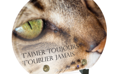 Plaque funéraire chat tigré demi-lune