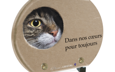 Plaque funéraire chat tigré carton demi-lune