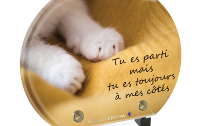 Plaque funéraire pattes de chat demi-lune