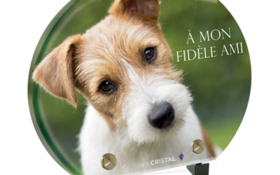Plaque funéraire fox terrier demi-lune