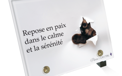 Plaque funéraire chat joueur