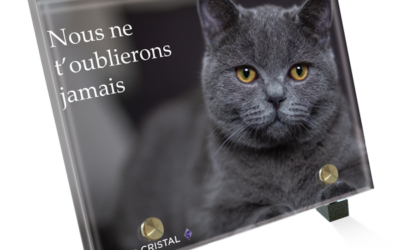 Plaque funéraire chat chartreux