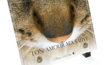 Plaque funéraire chat museau