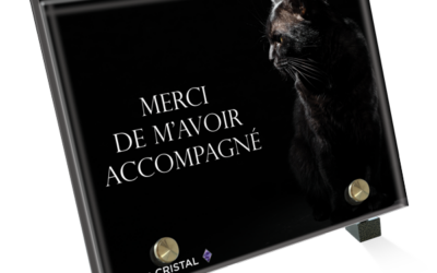 Plaque funéraire chat noir