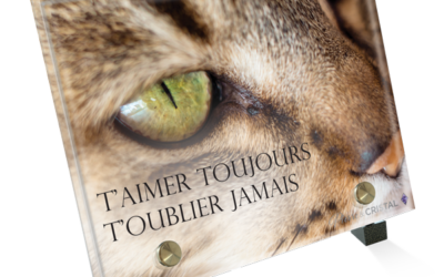 Plaque funéraire chat tigré