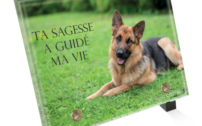 Plaque funéraire berger allemand