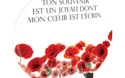 Coquelicot demi-lune