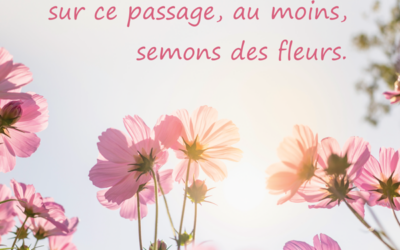 Stèle Anémones