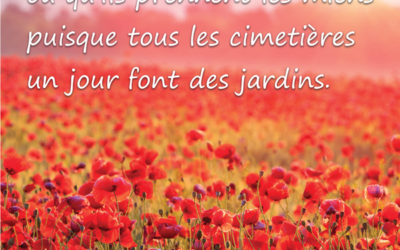 Stèle Champs Coquelicot