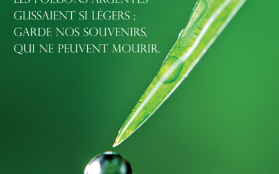 Stèle Goutte