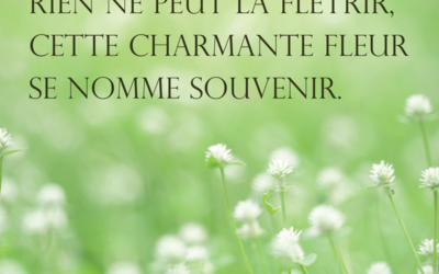 Stèle Gypsophile