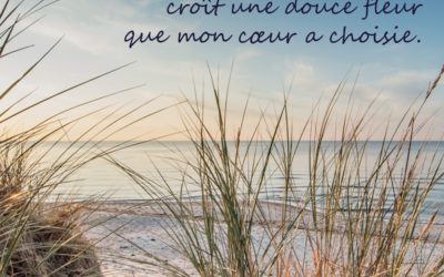 Stèle Plage