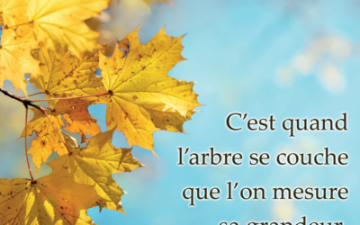 Stèle Érable