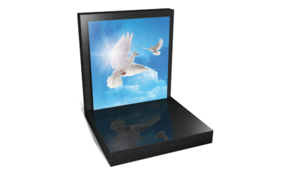 Cadre 005 – Envol Spirituel