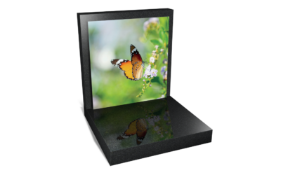 Cadre 011 – Papillon Éphémère