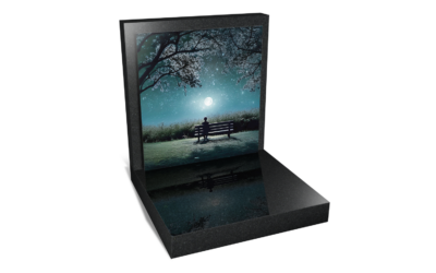 Cadre 002 – Sérénité Nocturne au Parc