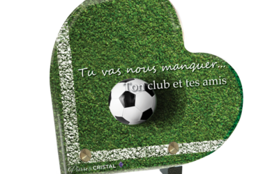 Un Terrain dans le Cœur: Hommage à un Footballeur Inoubliable