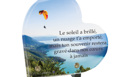 Au-dessus des Nuages: Hommage à un Passionné de Parapente