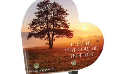 Le Soleil Couchant au Nord: Lumière Douce et Fin du Jour