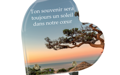 Le Soleil Couchant au Sud: Un Rayon de Lumière Chaleureuse et Souvenir