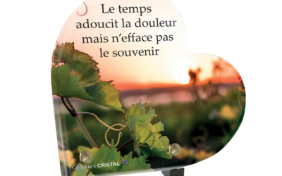 La Vigne du Souvenir: Entre Mémoire et Espoir