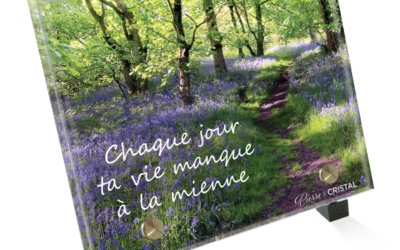 Plaque Funéraire Chemin Fleuri: L’Écho des Souvenirs Dans la Nature
