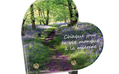 La Beauté d’un Sentier Fleuri