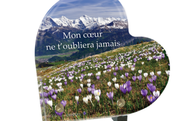 L’Évasion du Cœur : Immersion dans une Colline Fleurie