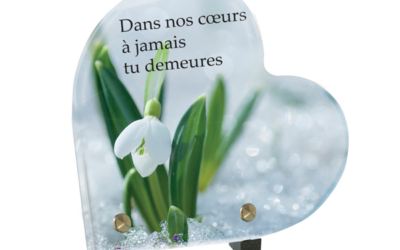 Le Crocus : Symbole de Renaissance et d’Espérance