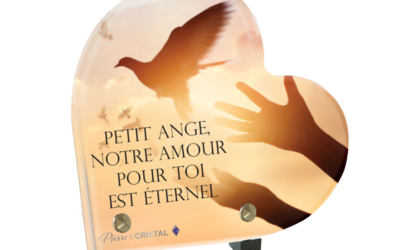 L’Envol: Symbole de Liberté et d’Éternité pour un Petit Ange