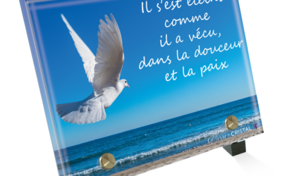 Plaque Funéraire Colombe Mer: Un Envol Paisible au-dessus de l’Horizon