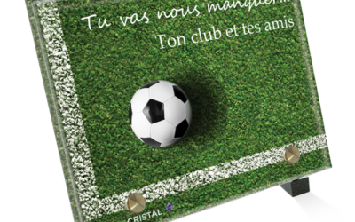 Passion du Football: Souvenirs sur le Terrain et Hors des Lignes