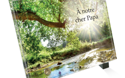 La Rivière: Symbole de Vie, de Mouvement et d’Éternité
