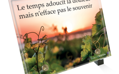 La Vigne au Crépuscule: Le Temps Adoucit la Douleur mais n’Efface pas le Souvenir